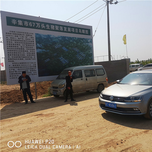 辛集市67萬頭生豬聚落采購糖心在线观看免费鋼三柱糖心VIOG官方人口